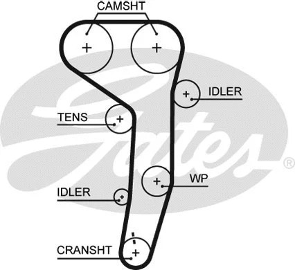 Water pump timing belt - &,